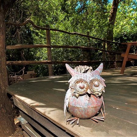 Black Cockatoo Lodge Нанъп Екстериор снимка