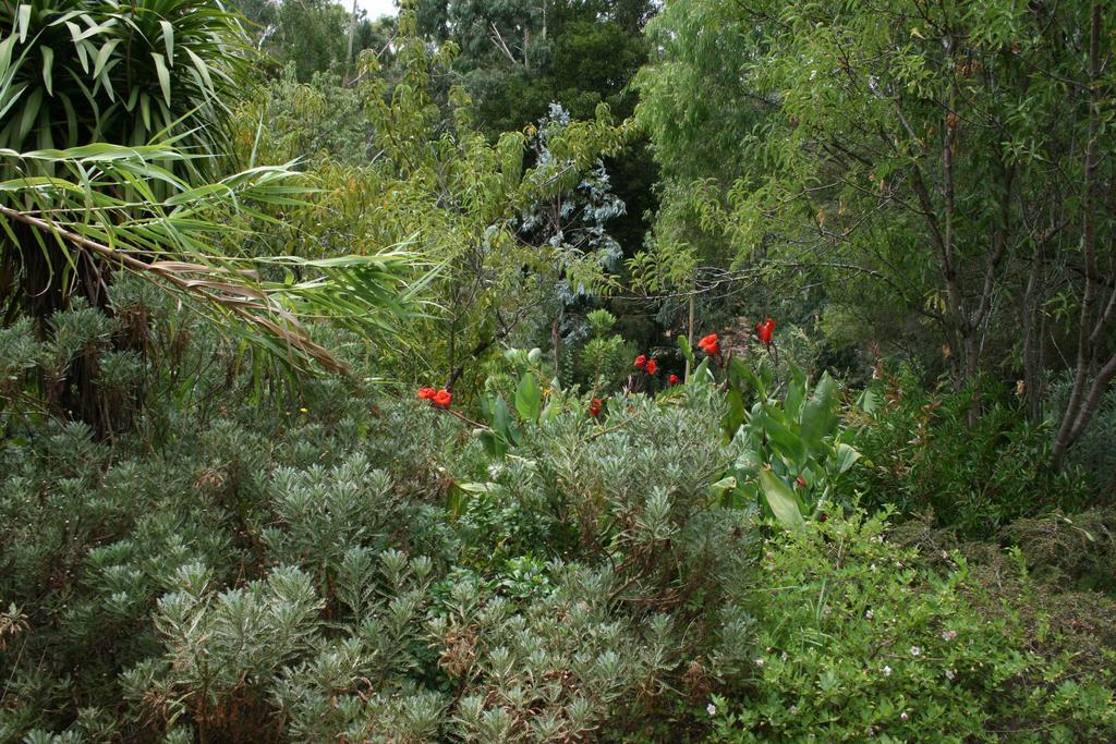Black Cockatoo Lodge Нанъп Екстериор снимка