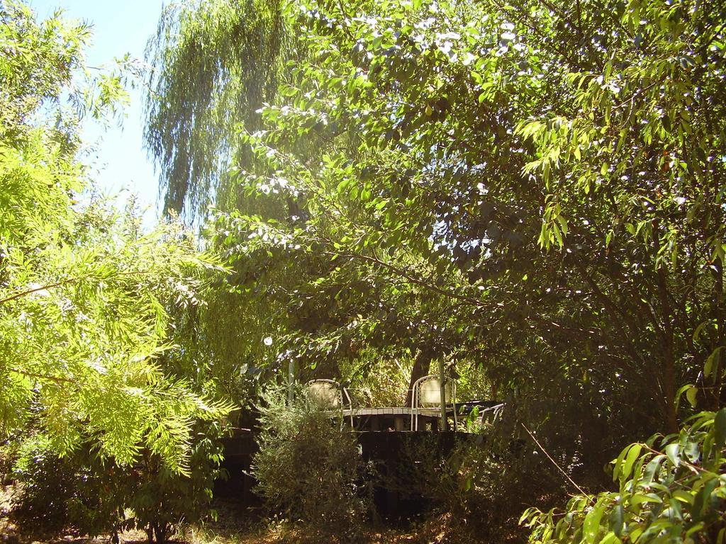 Black Cockatoo Lodge Нанъп Екстериор снимка