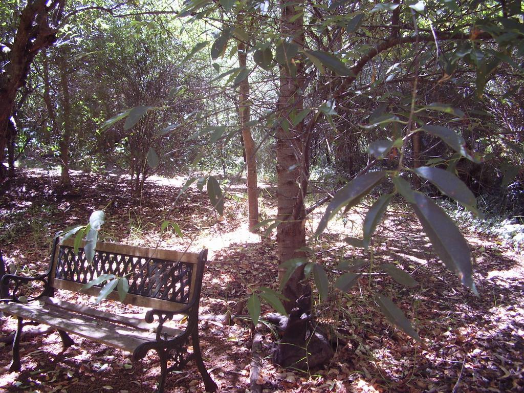 Black Cockatoo Lodge Нанъп Екстериор снимка