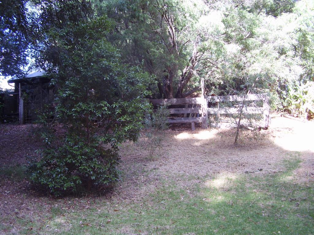 Black Cockatoo Lodge Нанъп Екстериор снимка