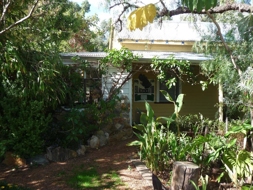 Black Cockatoo Lodge Нанъп Екстериор снимка