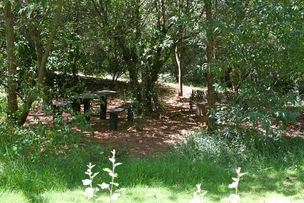 Black Cockatoo Lodge Нанъп Екстериор снимка