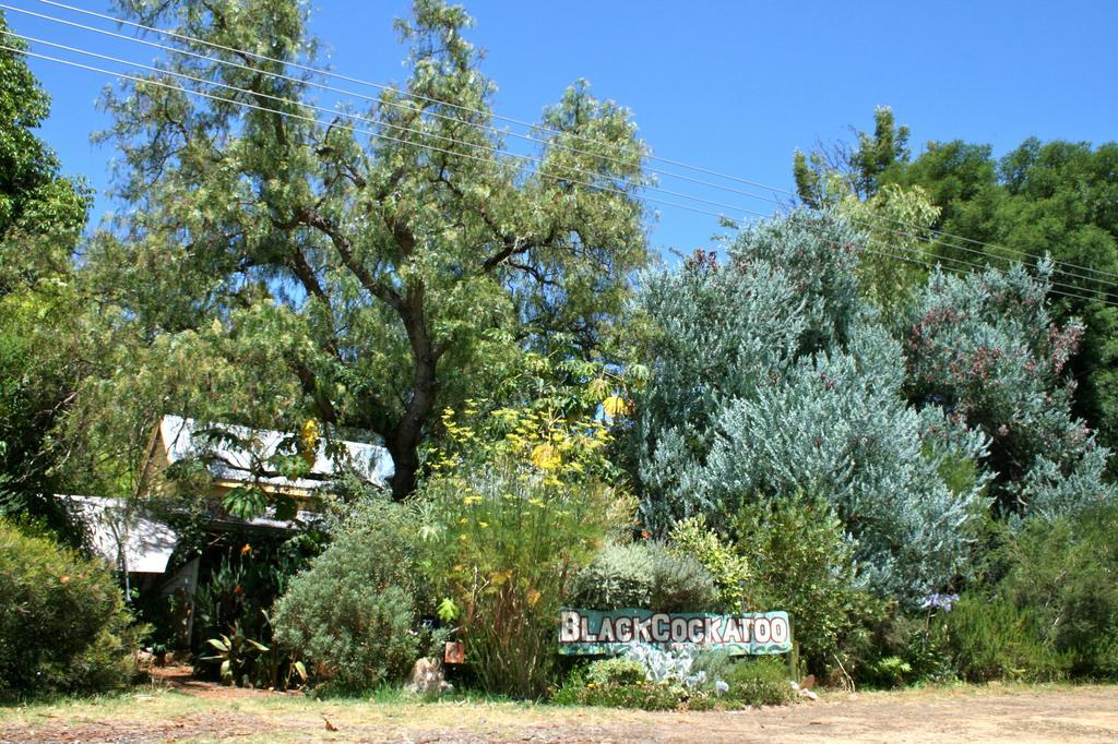 Black Cockatoo Lodge Нанъп Екстериор снимка