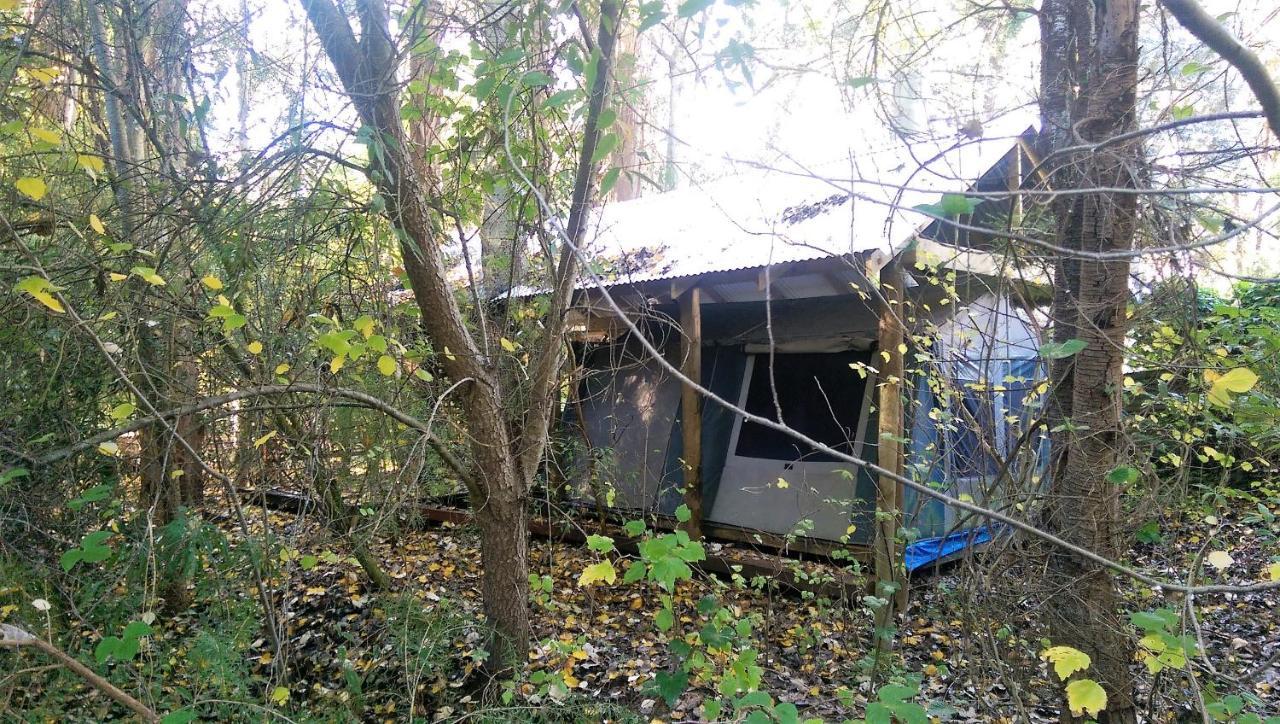 Black Cockatoo Lodge Нанъп Екстериор снимка